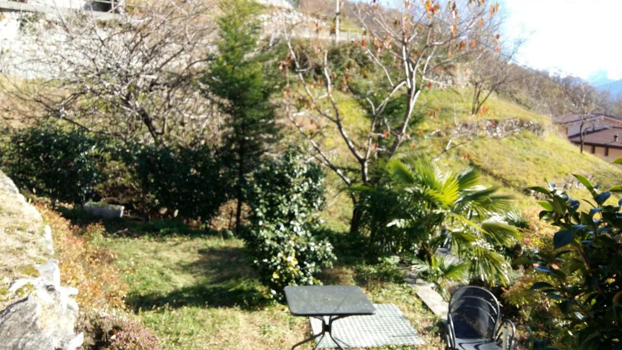 Apartament Casa Delle Camelie Sorico Zewnętrze zdjęcie